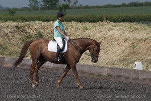 ISIS Dressage Challenge 2008